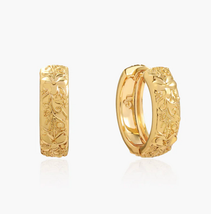 Serenadă de cercuri de orhidee